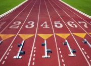 PG电子试玩官网-迈凯伦鏖战红牛车队，诺里斯扛起全队